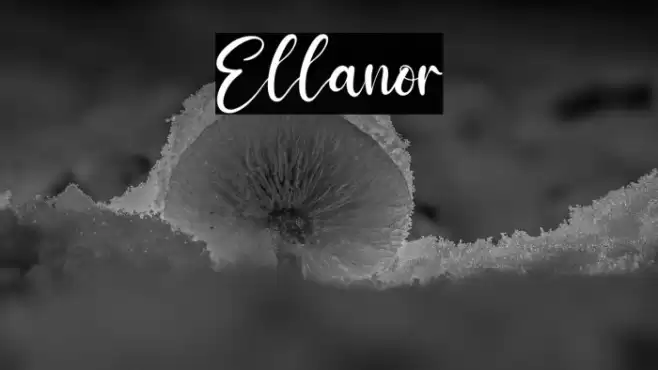 Ellanor Font examples