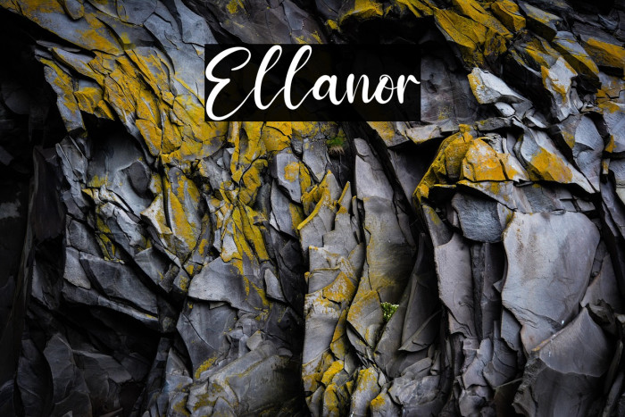 Ellanor Example 3