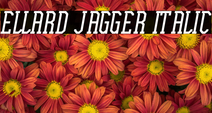 Ellard Jagger Italic Example 1