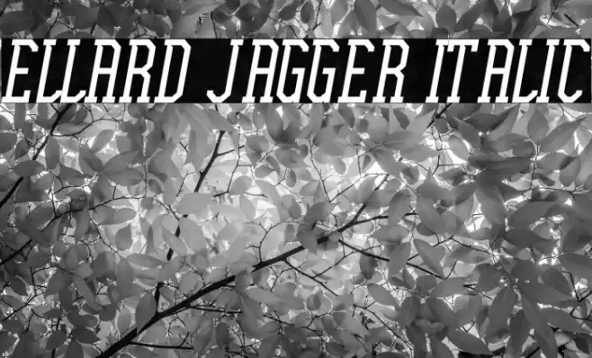 Ellard Jagger Italic Font examples
