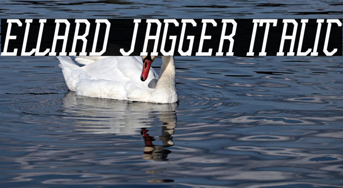 Ellard Jagger Italic Example 3