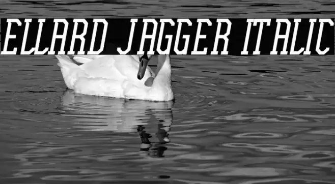 Ellard Jagger Italic Font examples
