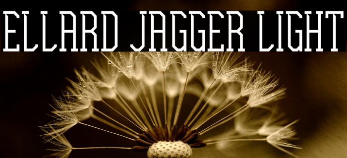 Ellard Jagger Light Example 2