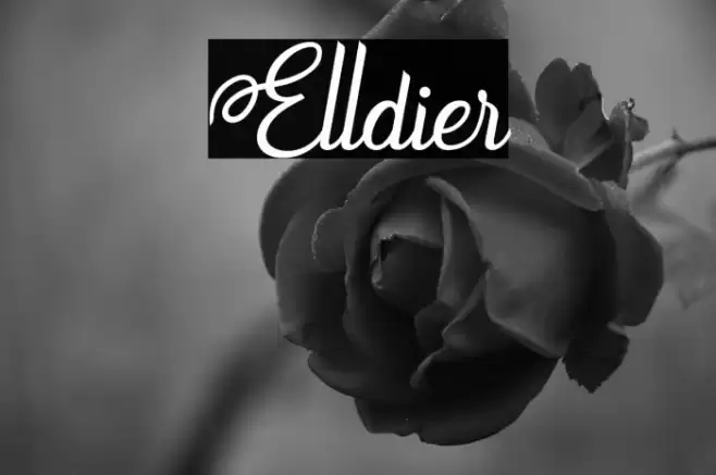 Elldier Font examples