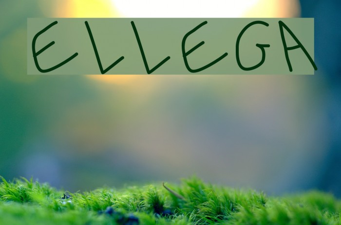 Ellega Font examples