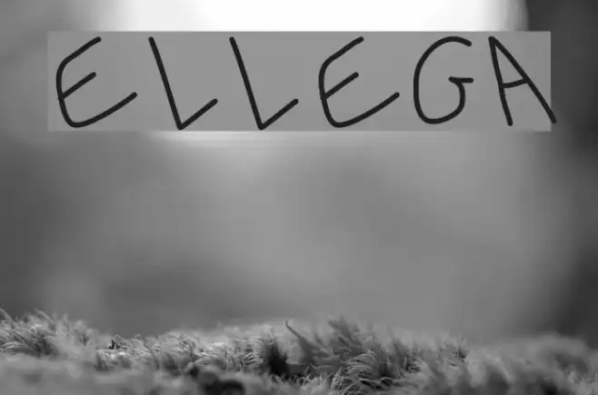 Ellega Example 2