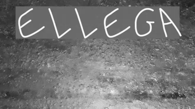 Ellega Example 3