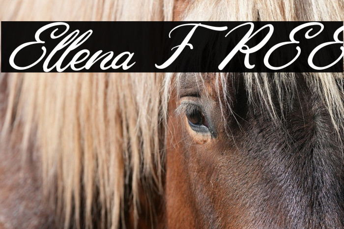 Ellena FREE Example 1