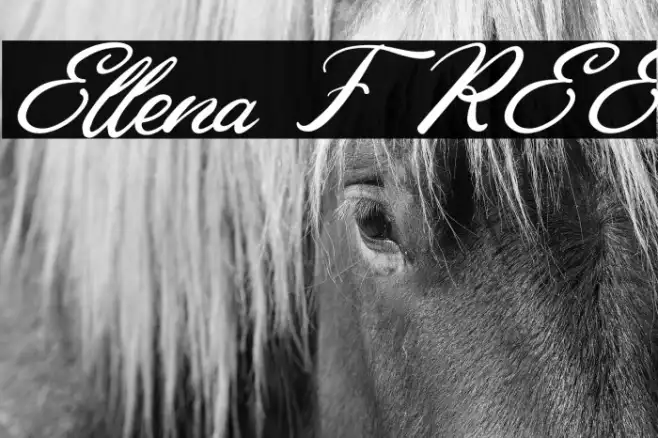 Ellena FREE Example 1