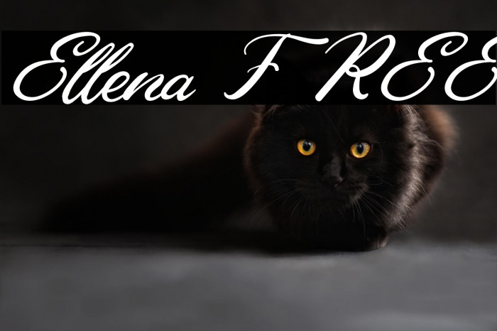 Ellena FREE Example 3