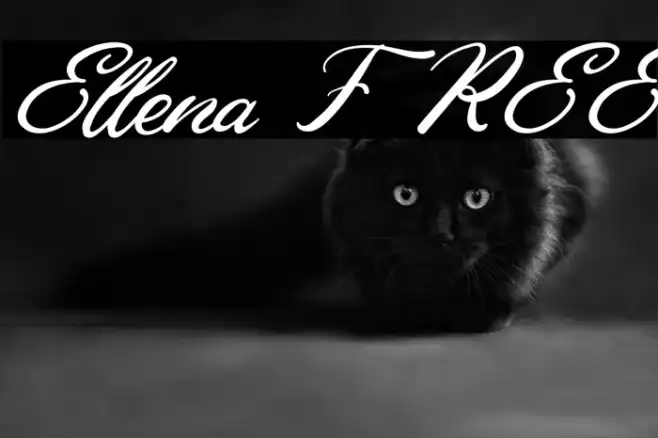 Ellena FREE Example 3