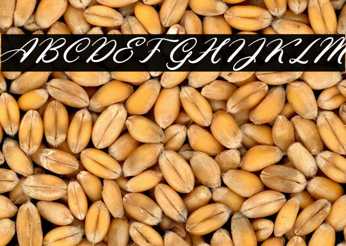 EllenaFREE Example 2