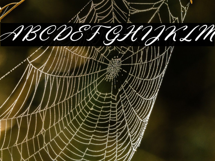 EllenaFREE Example 3