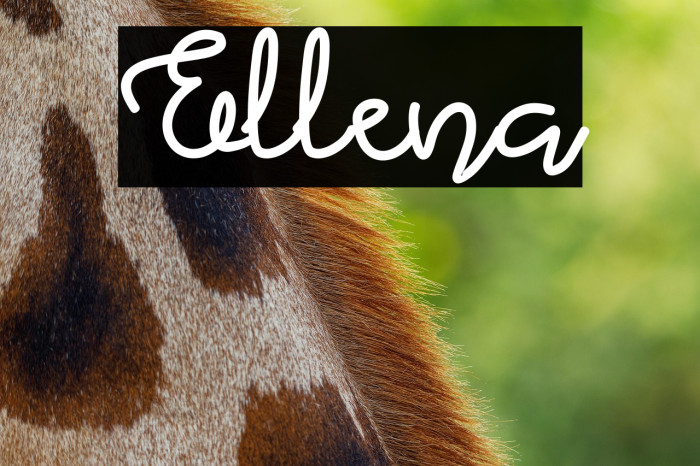 Ellena Example 2
