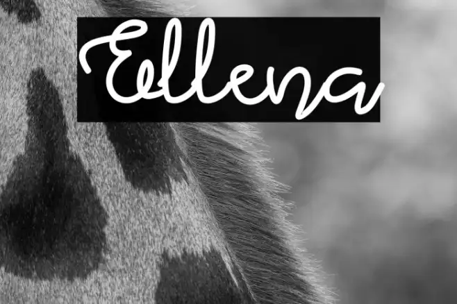 Ellena Example 2