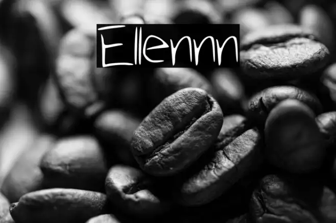 Ellennn Example 2