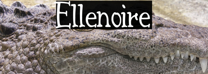 Ellenoire Example 1