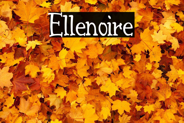 Ellenoire Example 3