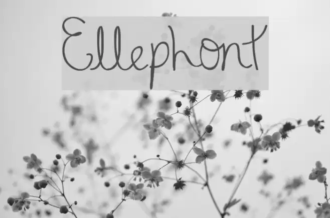 Ellephont Font examples