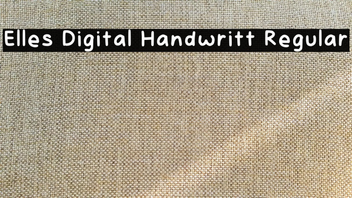 Elles Digital Handwritt Regular Example 2