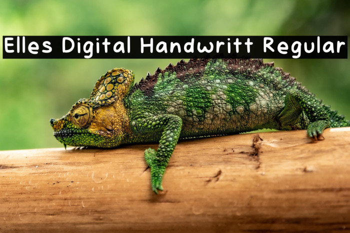 Elles Digital Handwritt Regular Example 3