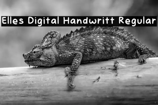 Elles Digital Handwritt Regular Example 3