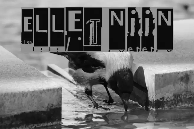 Ellet niin Font examples