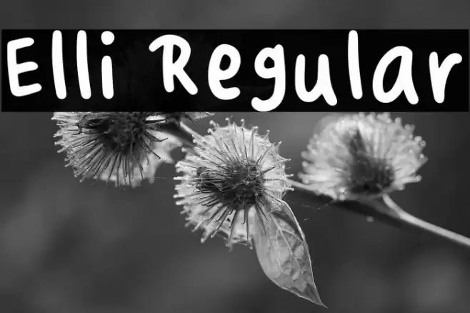 Elli Regular Caratteri examples