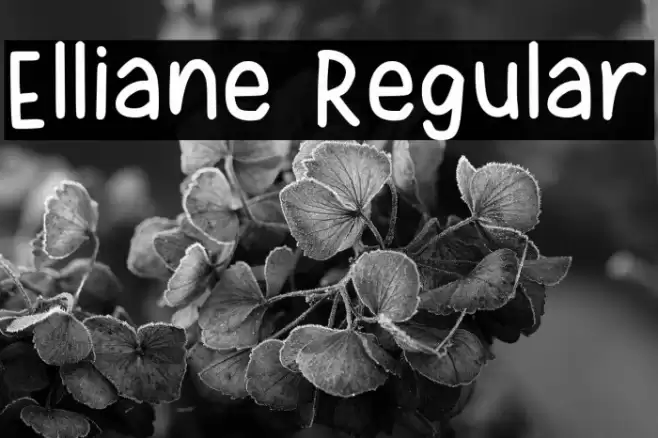 Elliane Regular Font examples