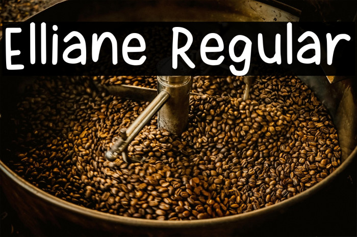 Elliane Regular Example 2