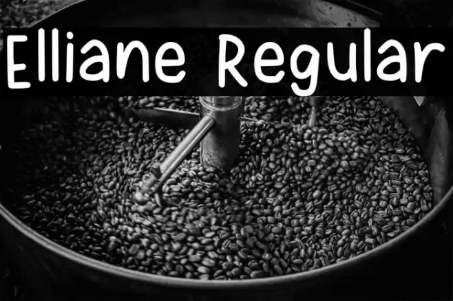 Elliane Regular Font examples