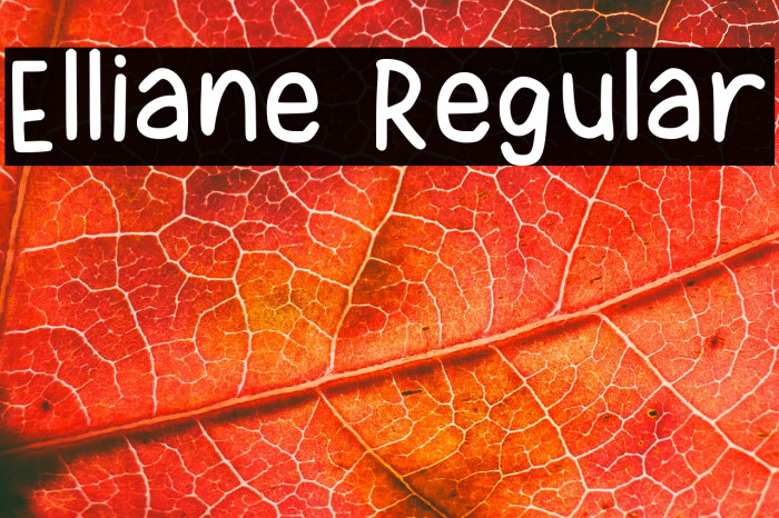 Elliane Regular Example 3