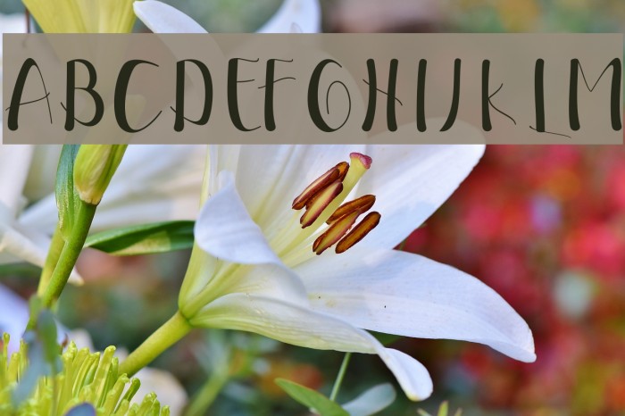 EllicScript Example 1