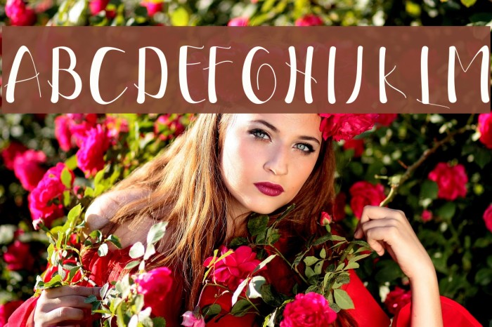 EllicScript Example 2