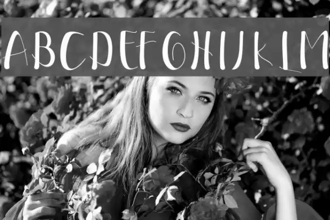 EllicScript Font examples