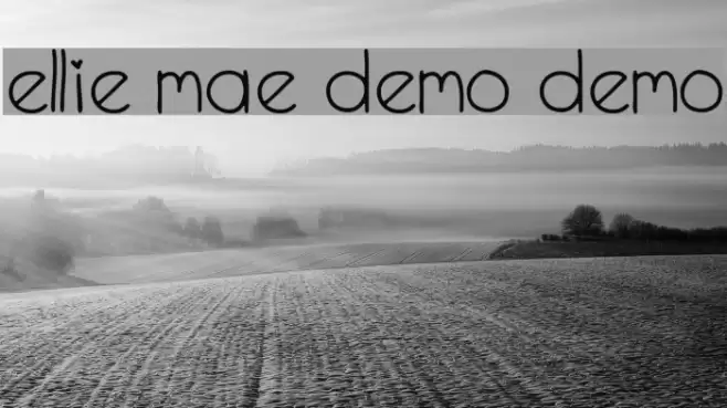 Ellie Mae Demo Demo Font examples