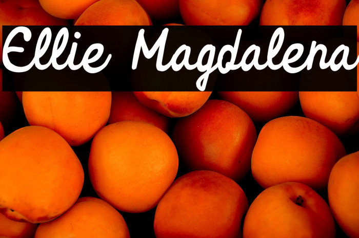 Ellie Magdalena Example 3