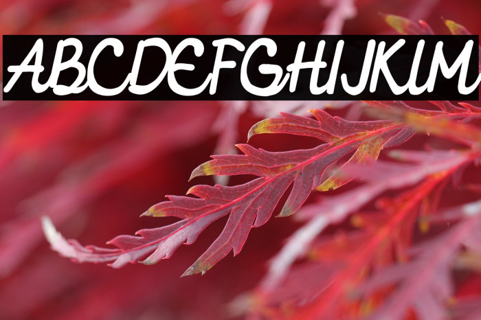 EllieMagdalena Example 3