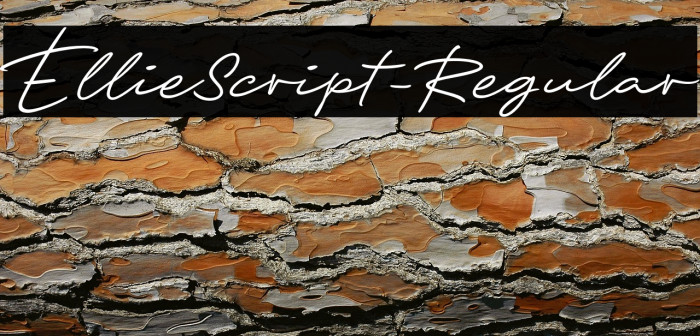 EllieScript-Regular Example 1