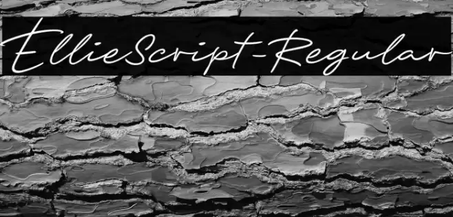 EllieScript-Regular Font examples