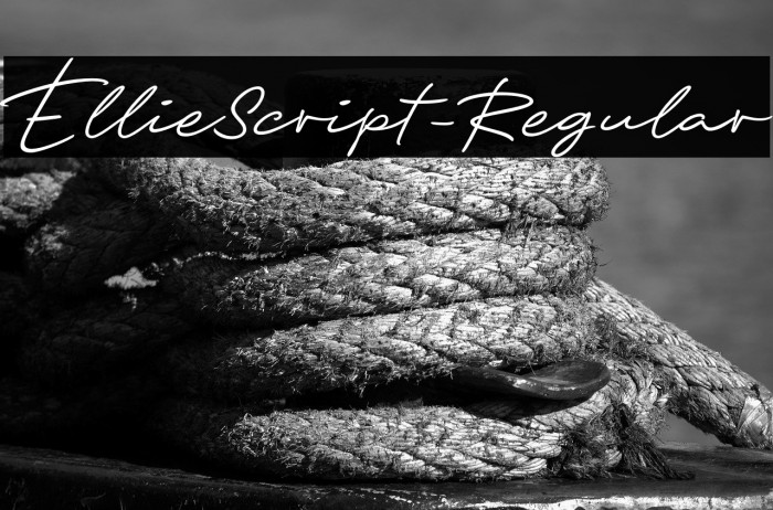 EllieScript-Regular Example 3