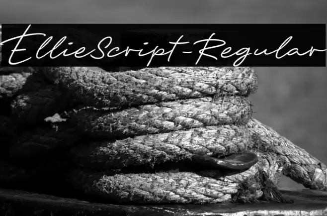 EllieScript-Regular Font examples