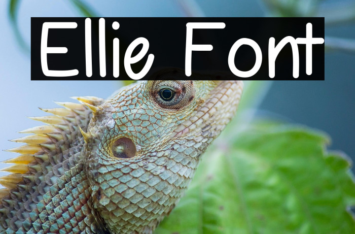 Ellie フォント examples