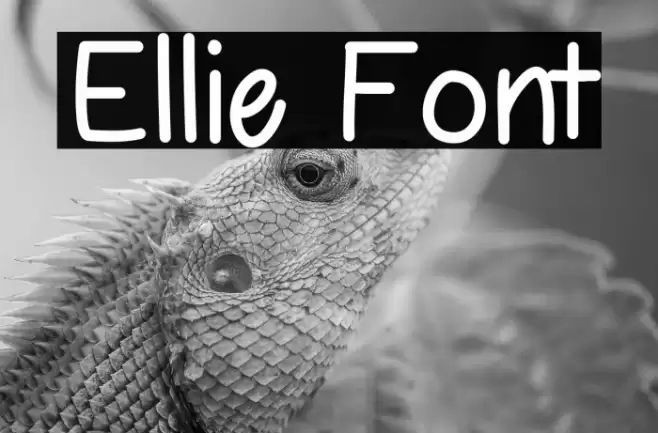 Ellie Font examples