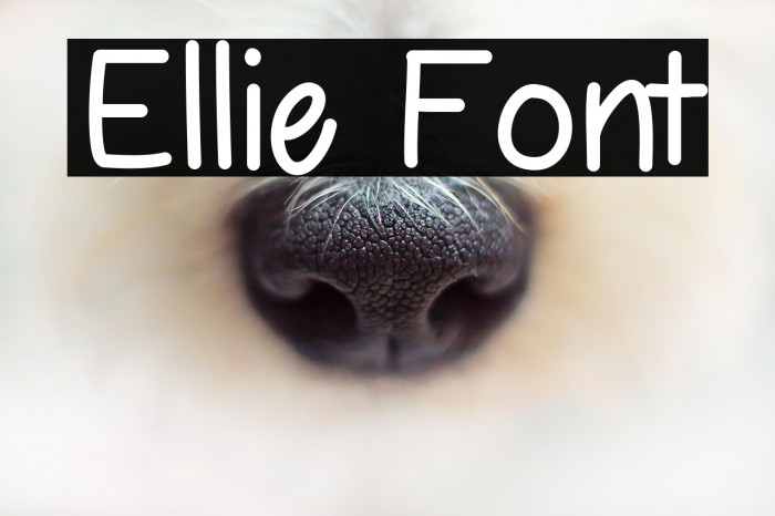 Ellie フォント examples