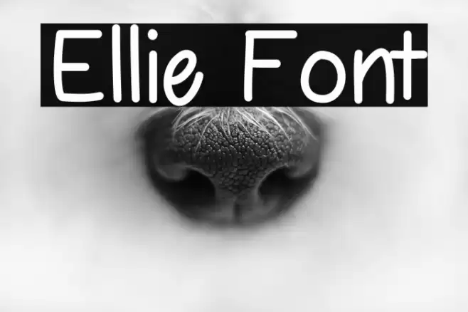 Ellie Font examples