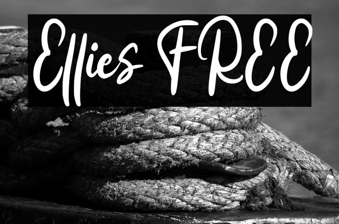 Ellies FREE Example 2