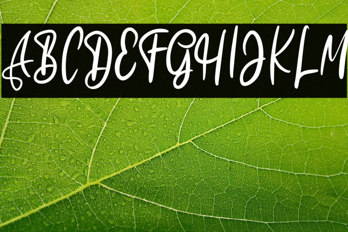 ElliesFREE Example 2