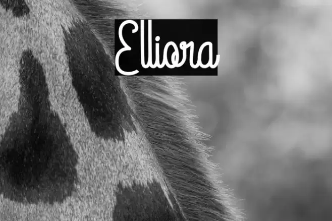 Elliora Font examples