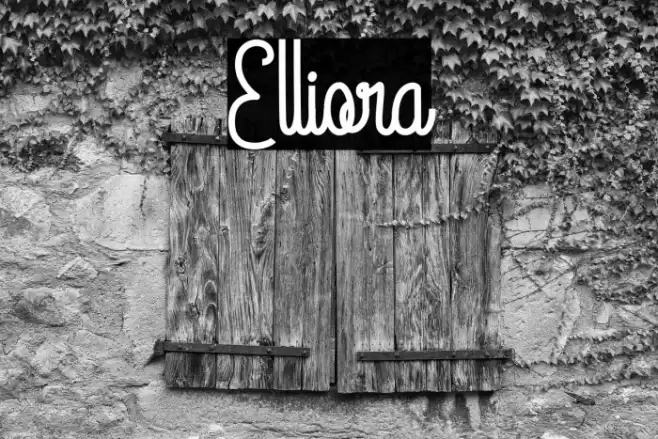 Elliora Font examples